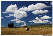 Tuscany - Val-D Orcia 3
